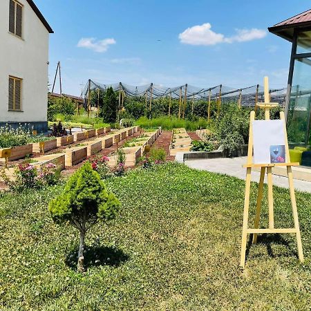 Green Training Center Dzoraghpʼyur Exterior foto