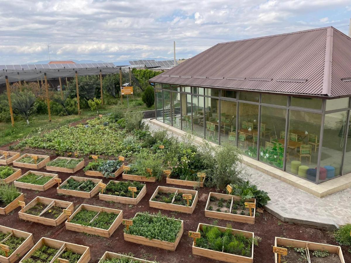 Green Training Center Dzoraghpʼyur Exterior foto